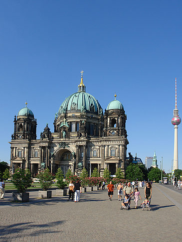 Berliner Dom mit Fernsehturm Fotos