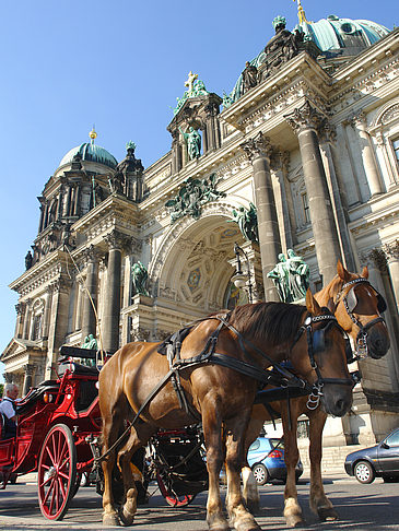 Fotos Pferdekutsche vor dem Berliner Dom