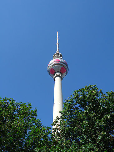 Fotos Fernsehturm und Bäume