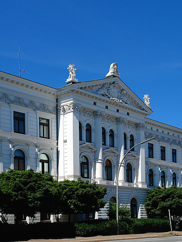 Foto Rathaus von Altona