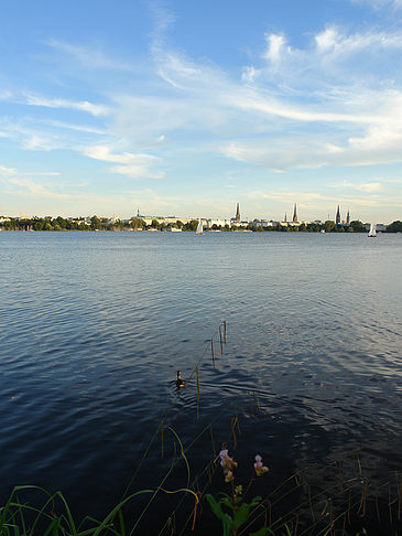 Foto Außenalster Panorama