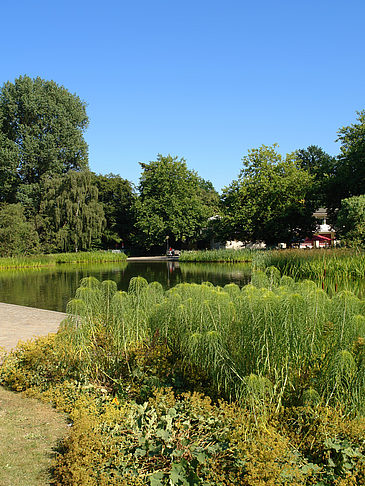 Fotos Planten un Blomen - Wiese am Parksee | Hamburg