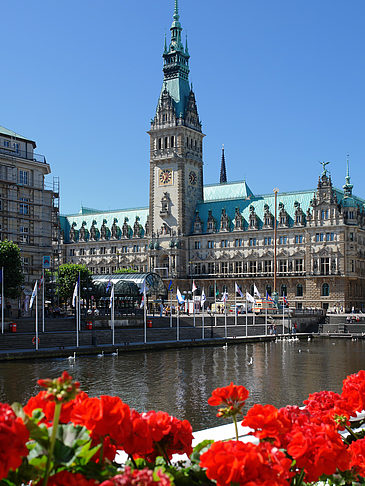 Foto Rathaus mit Alsterfleet