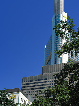 Commerzbanktower mit Baum Foto 