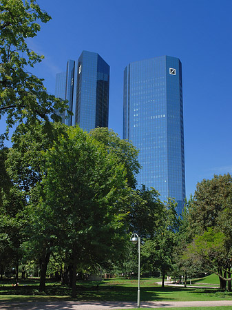 Deutsche Bank mit Wiese