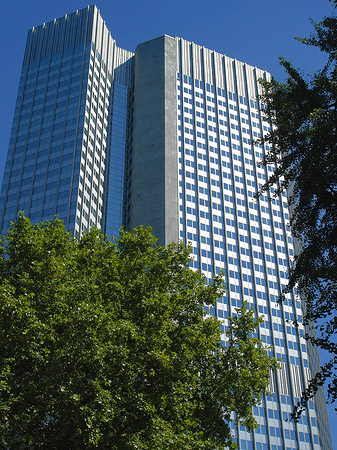 Fotos Eurotower | Frankfurt am Main