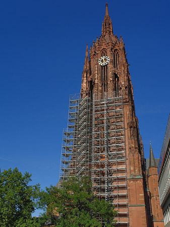 Kaiserdom St. Bartholomäus mit Baum