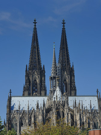 Foto Kölner Dom