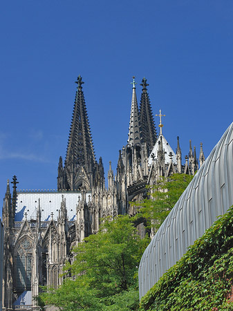 Hauptbahnhof vor dem Kölner Dom Fotos