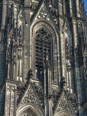 Fenster des Kölner Doms Fotos