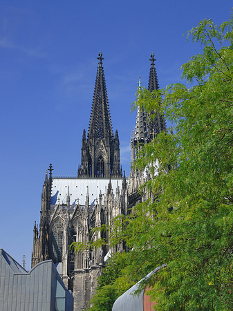 Foto Türme des Kölner Doms - Köln