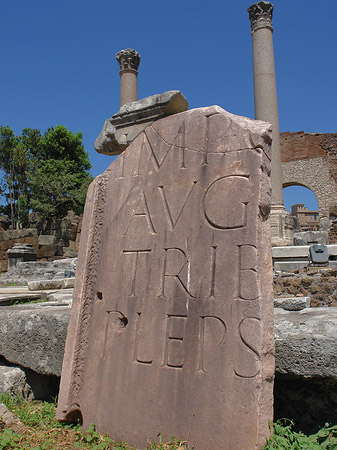 Basilica Aemilia Foto 