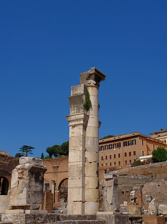 Säulen im Forum Romanum Fotos