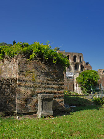 Foto Steine im Forum Romanum