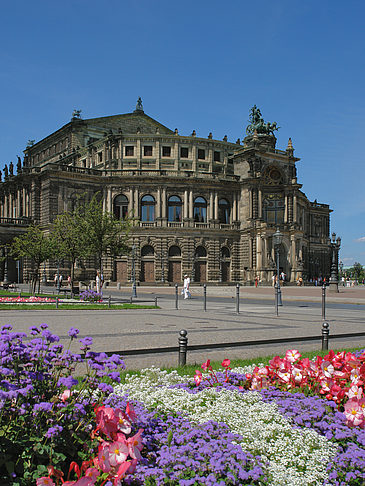 Foto Semperoper mit Blumen - Dresden