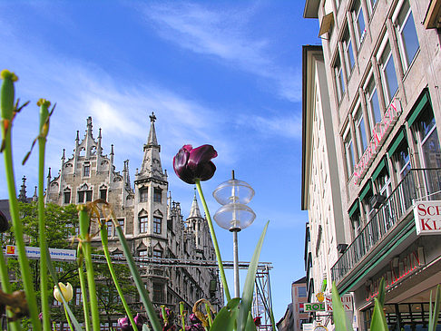 Foto Neues Rathaus - München