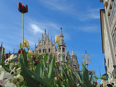 Foto Neues Rathaus