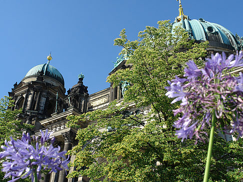 Foto Berliner Dom mit Lustgarten