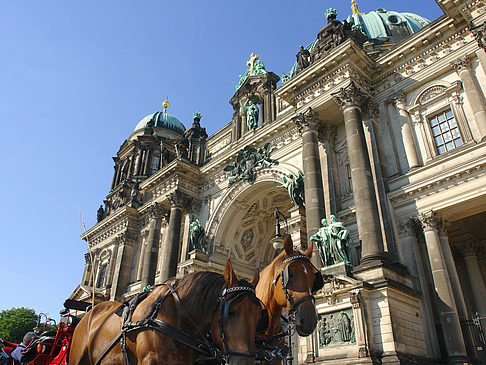 Pferdekutsche vor dem Berliner Dom