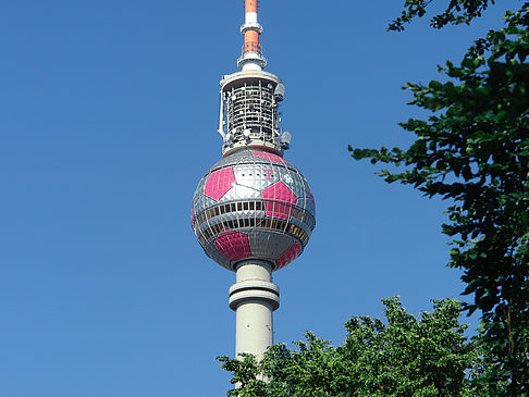 Fotos Fernsehturm und Bäume