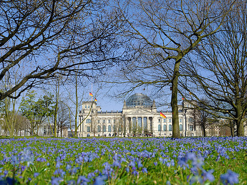 Blumenwiese am Reichstag Foto 