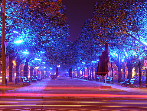 Unter den Linden Fotos