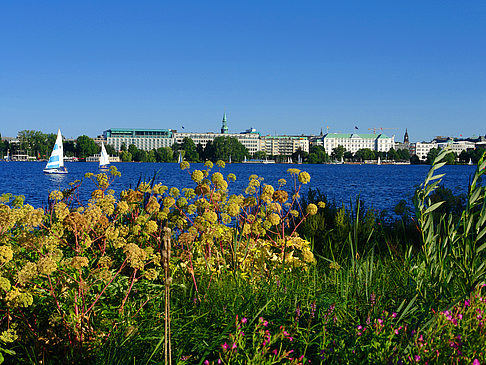 Blick nach Osten von der Außenalster Foto 