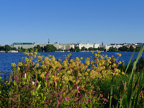 Fotos Blick nach Osten von der Außenalster | Hamburg