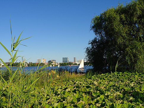 Blick nach Osten von der Außenalster