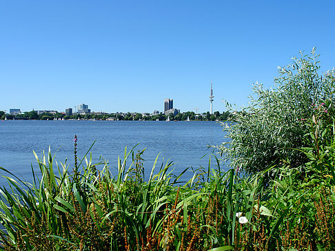 Fotos Schöne Aussicht | Hamburg