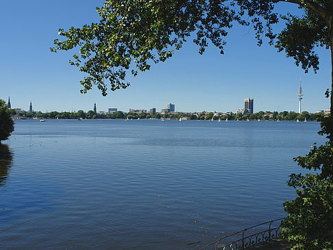 Bäume und Laterne an der Binnenalster