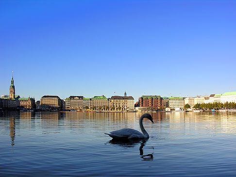 Fotos Binnenalster