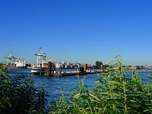 Fotos Blick auf den Hafen | Hamburg