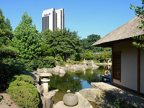 Fotos Planten un Blomen - Japanischer Garten | Hamburg