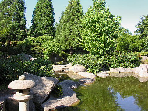 Foto Planten un Blomen - Japanischer Garten