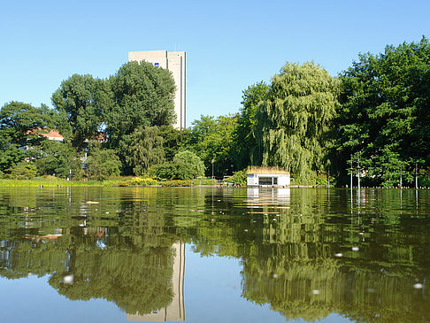 Foto Planten un Blomen - Wiese am Parksee - Hamburg