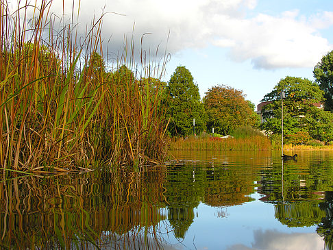 Planten un Blomen Foto 