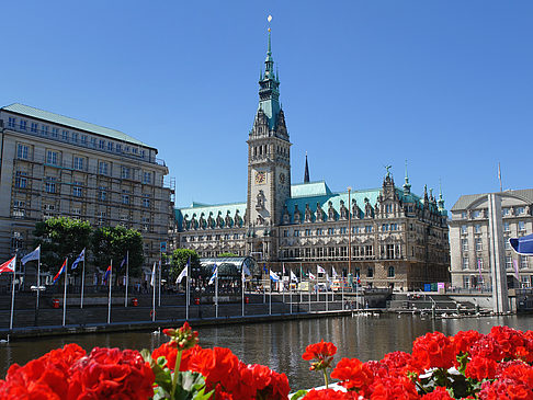 Rathaus mit Alsterfleet Foto 