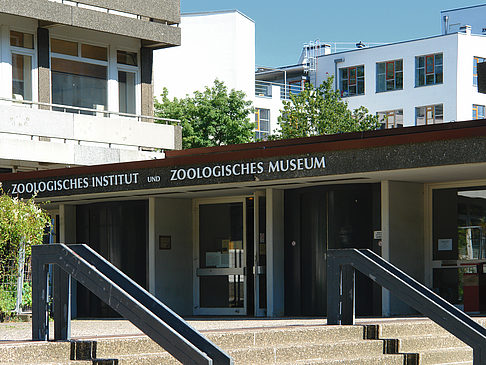 Foto Zoologisches Museum