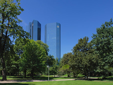 Deutsche Bank mit Wald Fotos