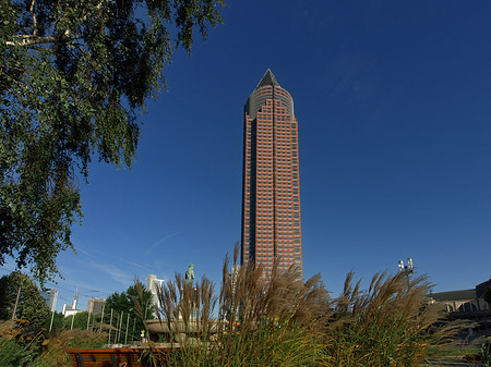 Messeturm auf Wiese Foto 