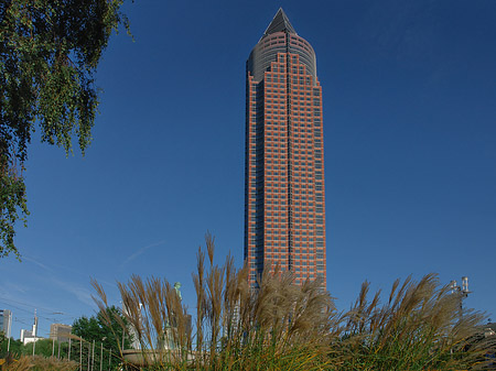 Messeturm mit Wiese