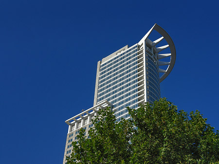 Foto Westendtower mit Baum - Frankfurt am Main