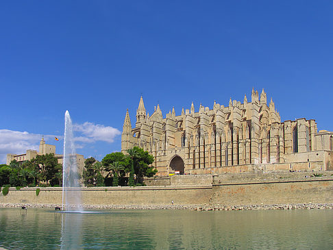 Fotos Die Kathedrale | Palma de Maljorka