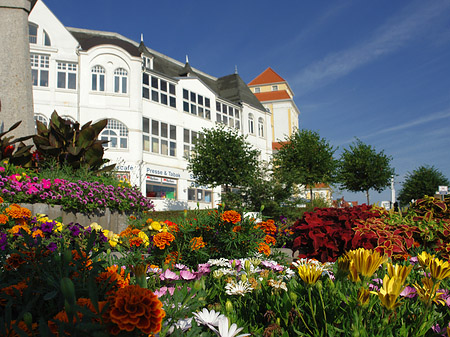 Fotos Seebrücke Binz