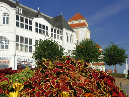 Seebrücke Binz Fotos