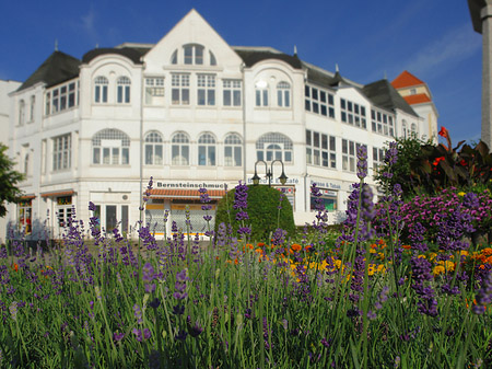 Seebrücke Binz Foto 