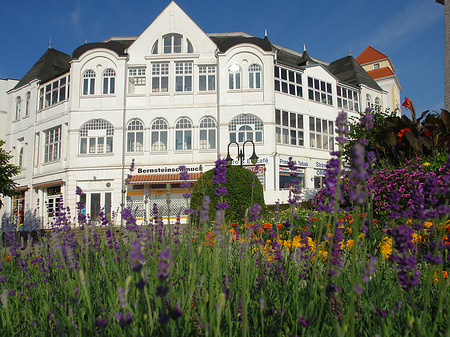 Fotos Seebrücke Binz