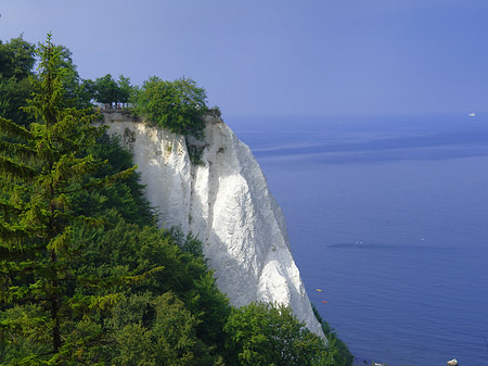 Königsstuhl Kreidefelsen Foto 