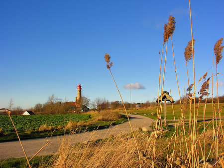 Fotos Turm aus der Ferne | 